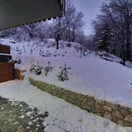 Mavrovo Ski Apartment Zewnętrze zdjęcie